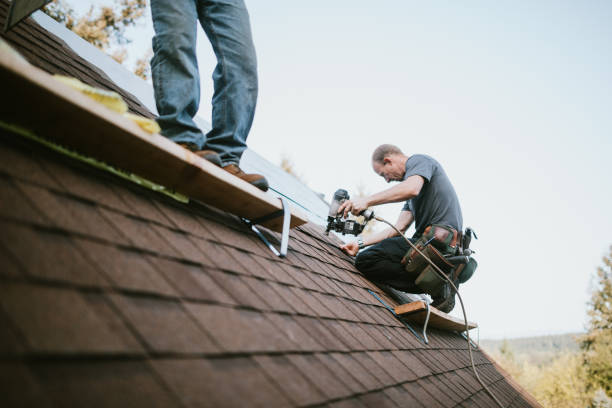Best Roof Gutter Cleaning  in Southern Pines, NC